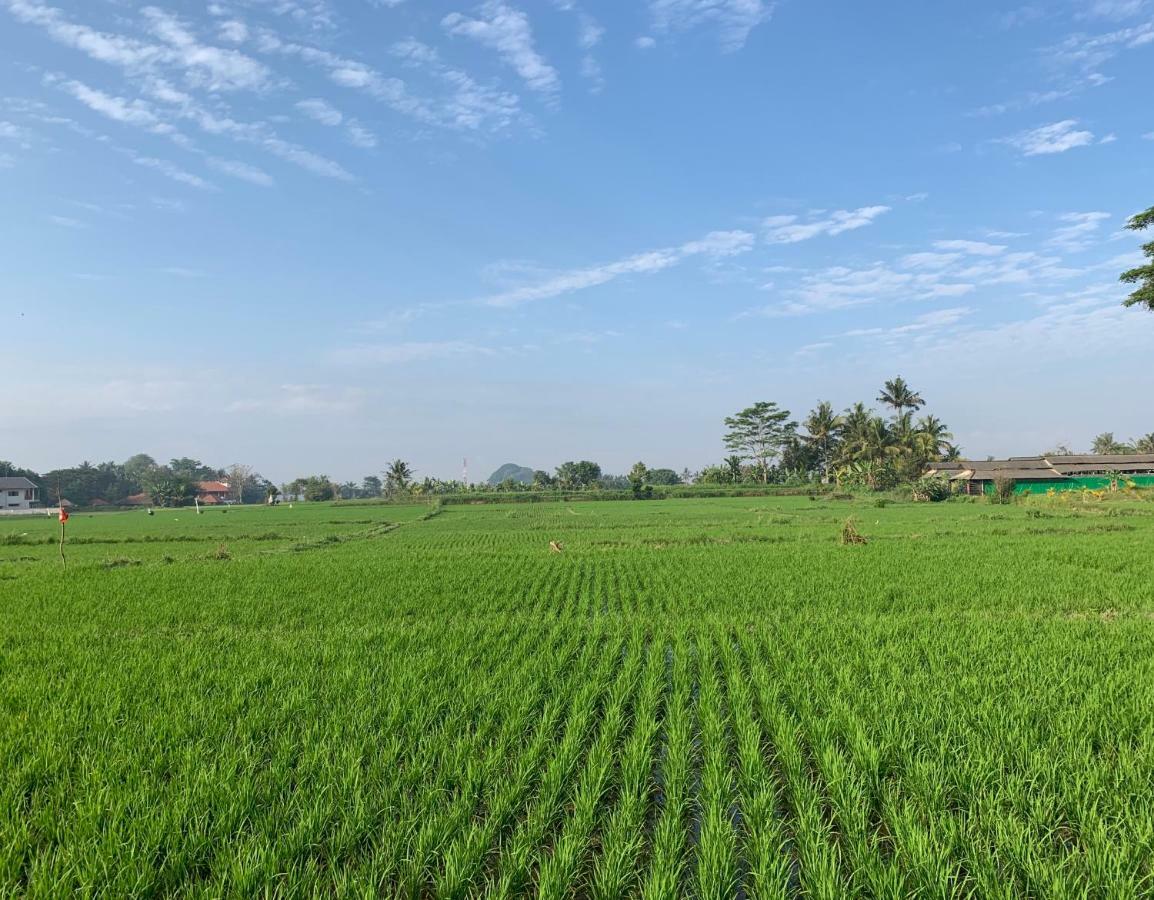 Private Pool Villa - Villa Saia Ubud Dış mekan fotoğraf